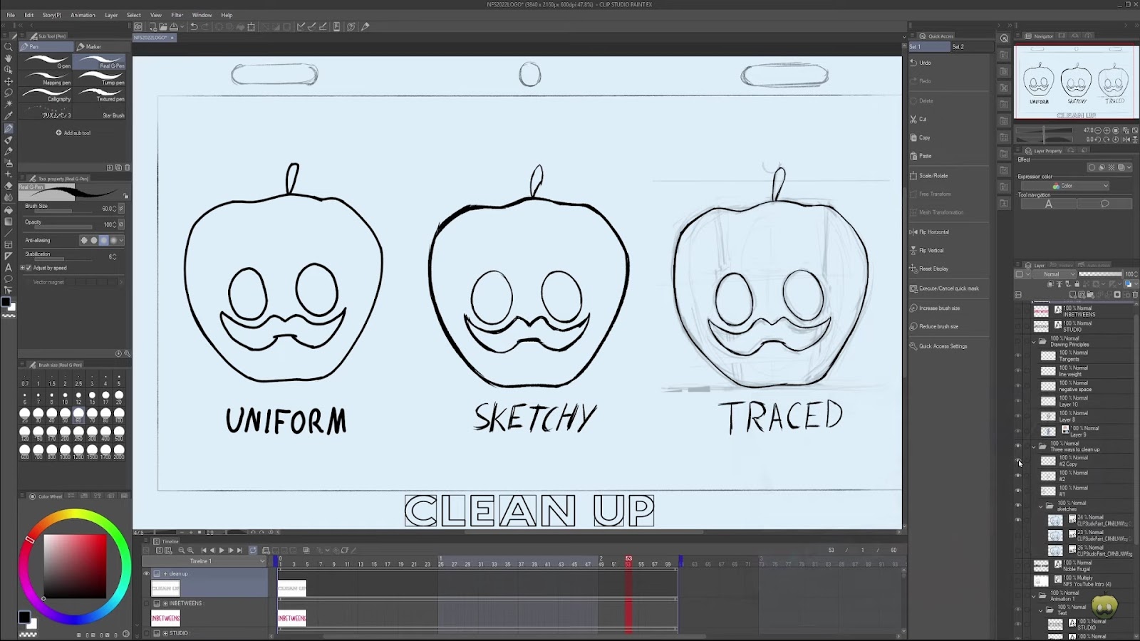 Process of animation clean up