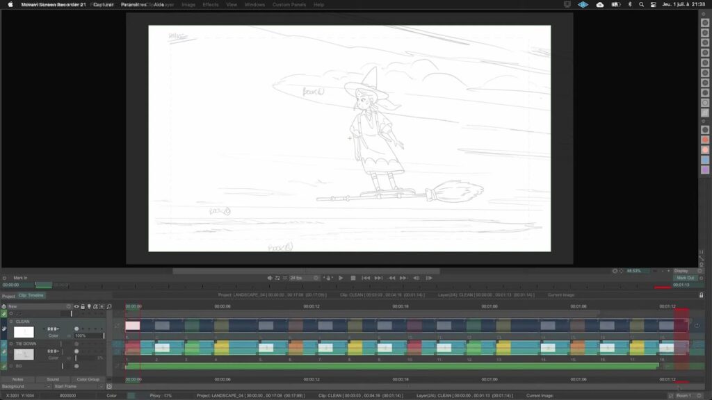 Process of animation clean up